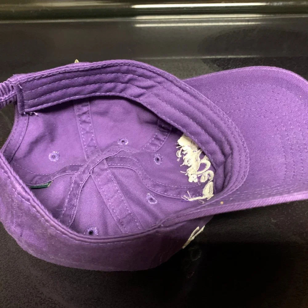 Legacy Future Horned Frog purple baseball cap